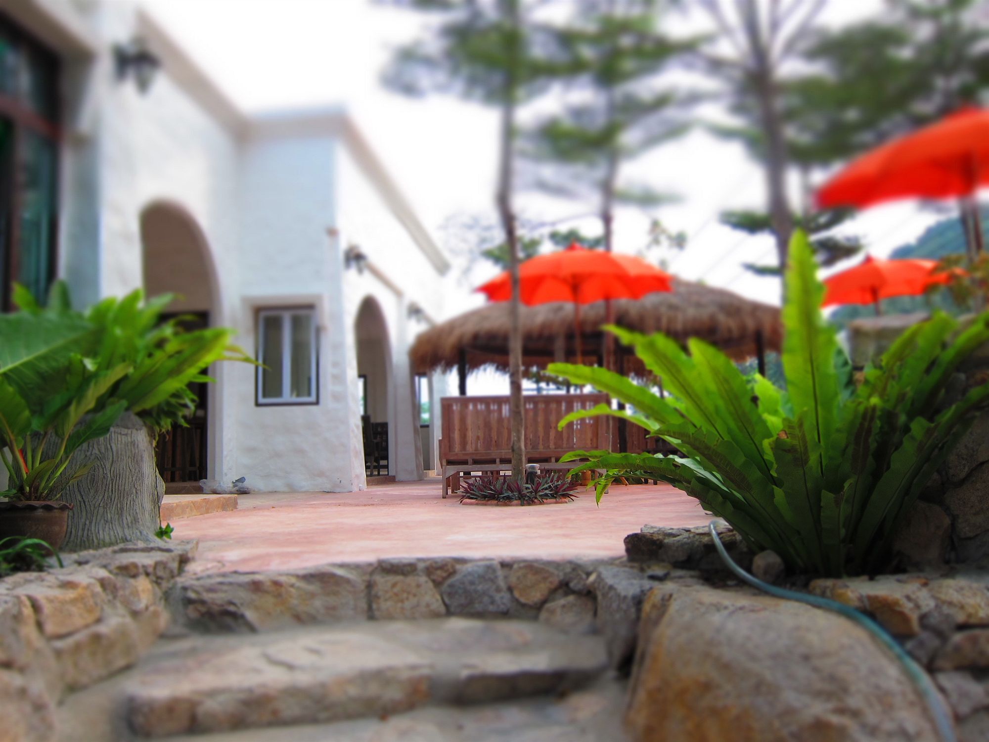 Koh Tao Toscana Εξωτερικό φωτογραφία
